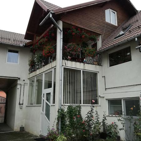 Vila Nely Rîşnov Exterior foto