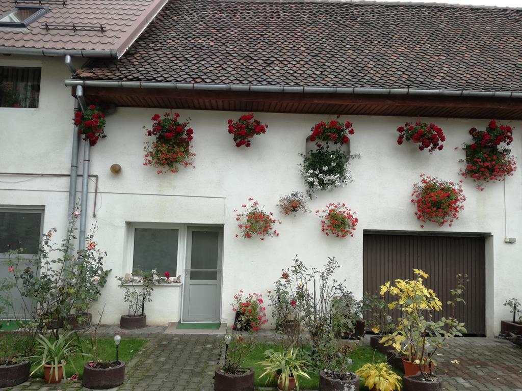 Vila Nely Rîşnov Exterior foto
